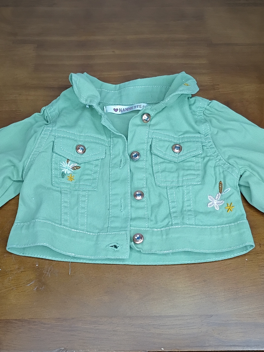 Nannette Mint Green Girls' Embroidered Jacket